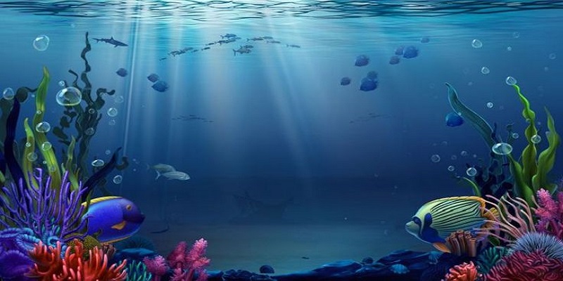 Vua Bắn Cá - Trải Nghiệm Game Đổi Thưởng Hấp Dẫn Năm 2025 3 Mẹo giúp người dùng trải nghiệm đi săn hiệu quả